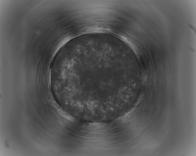 X0000095131227200801041238