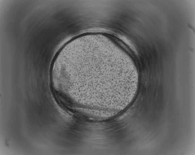 X0000095131229200801041238