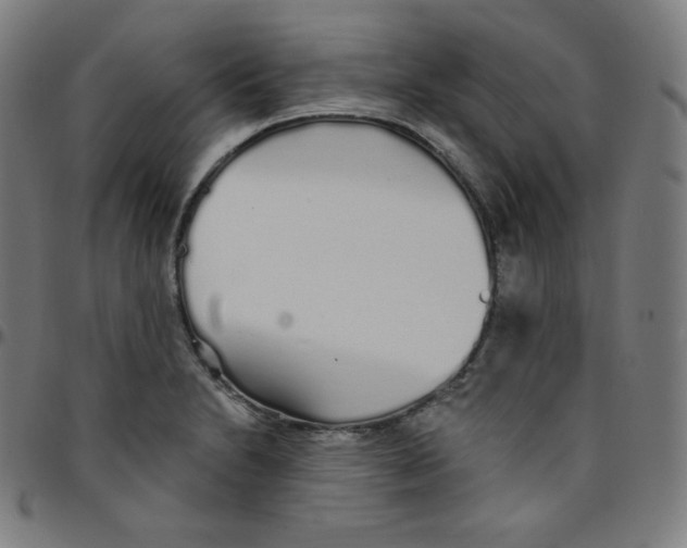 X0000095131230200801041239