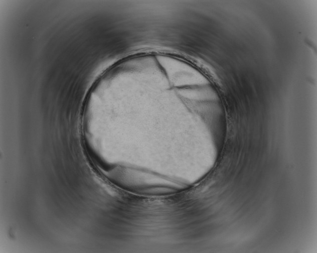 X0000095131231200801041239