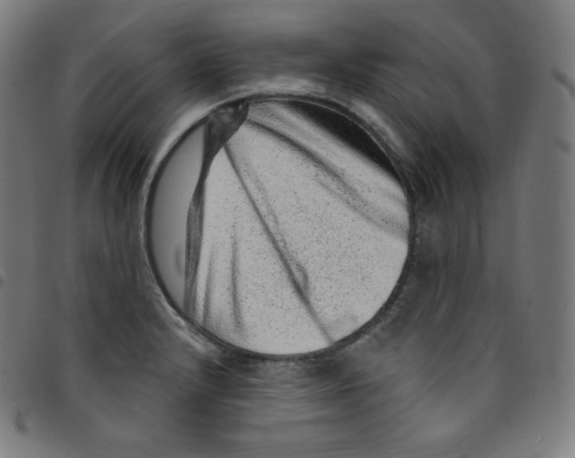 X0000095131232200801041239