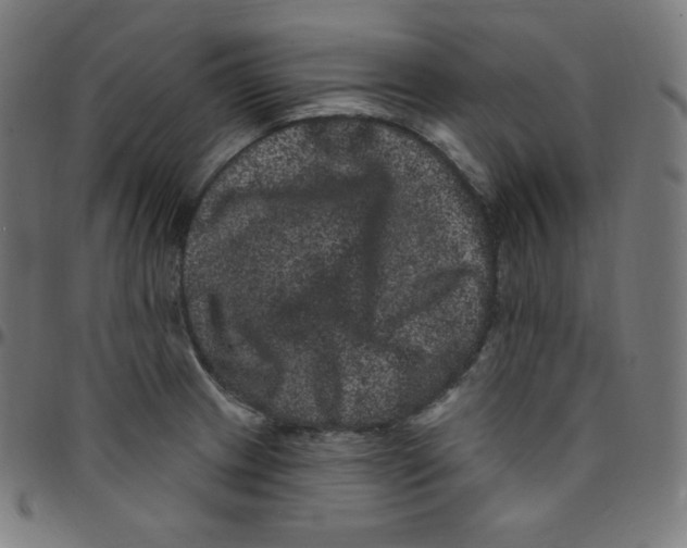 X0000095131233200801041239