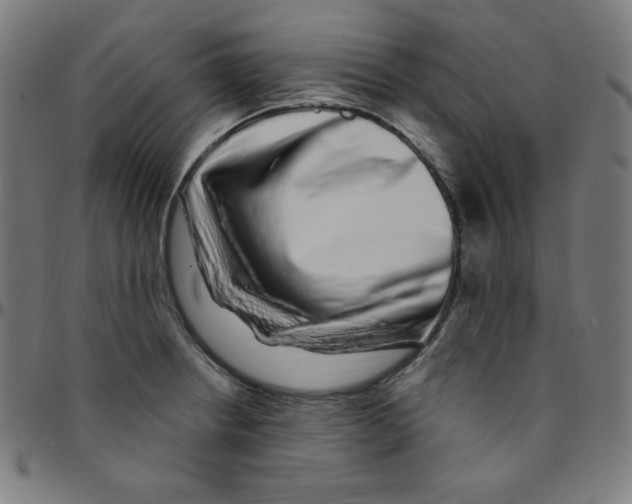 X0000095131234200801041239