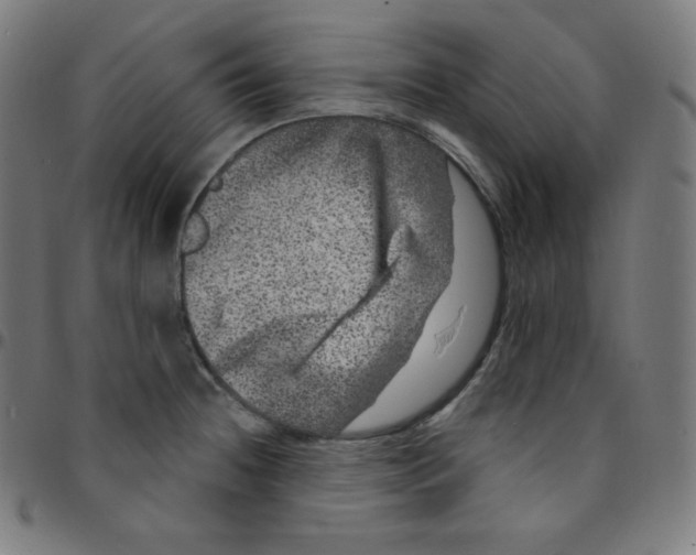 X0000095131236200801041239