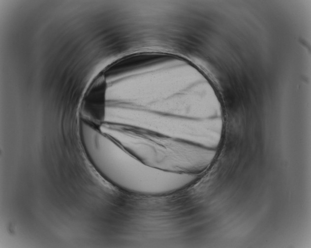 X0000095131238200801041239