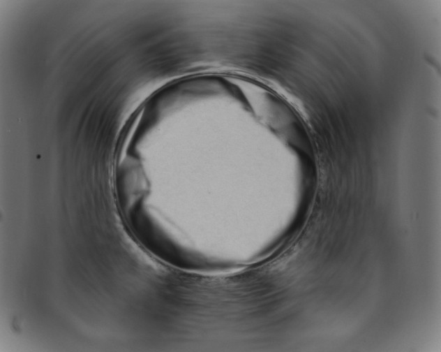 X0000095131239200801041239