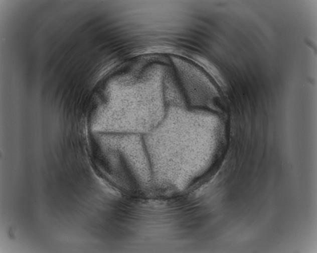 X0000095131241200801041239