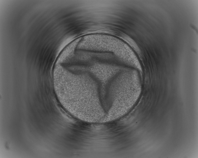 X0000095131242200801041239