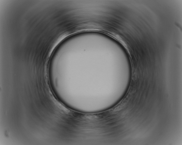 X0000095131243200801041239