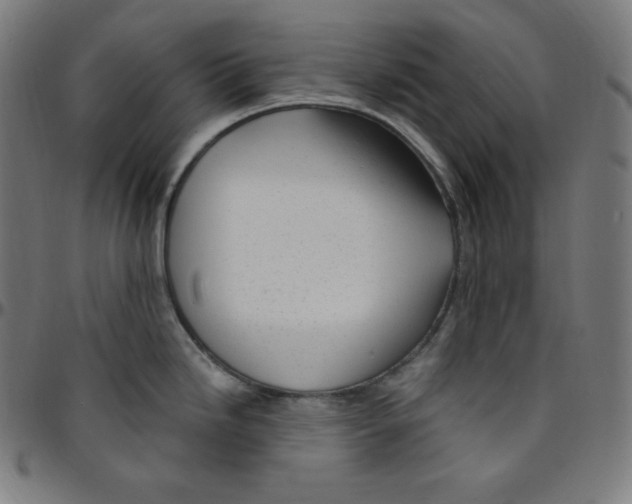 X0000095131246200801041239