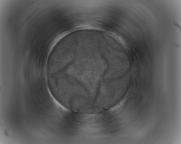 X0000095131247200801041239