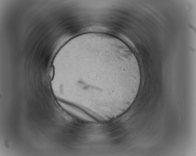 X0000095131248200801041239