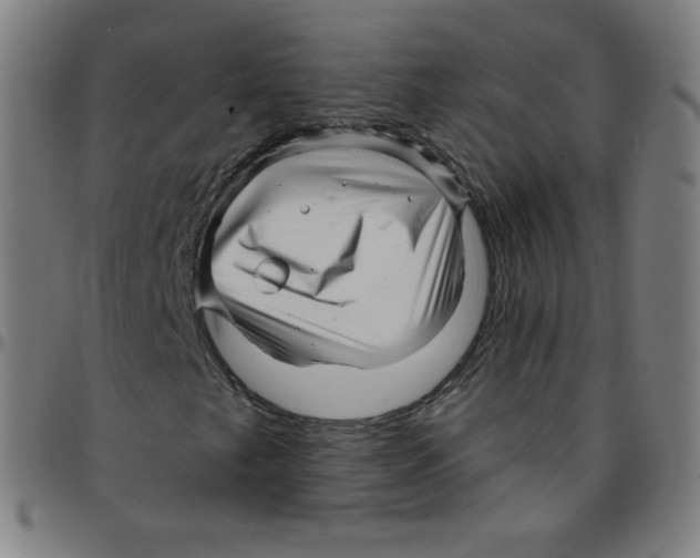 X0000095131249200801041238