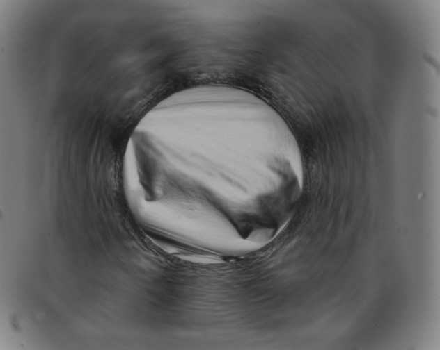 X0000095131250200801041238