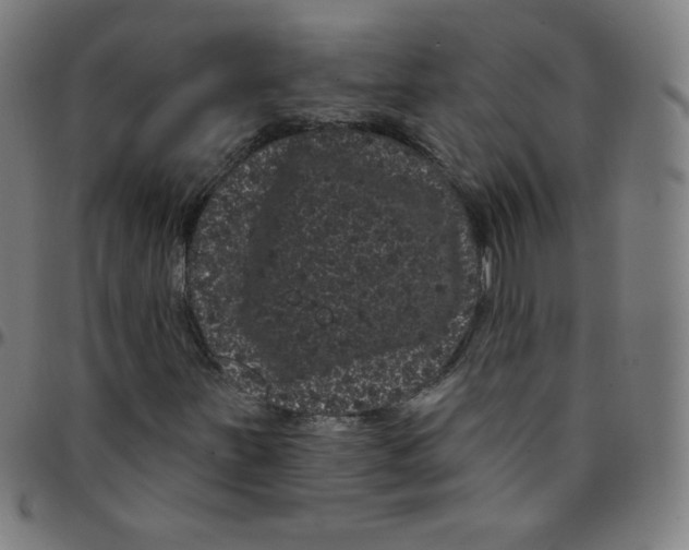 X0000095131251200801041238