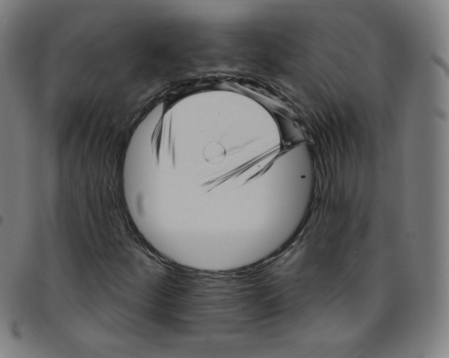 X0000095131252200801041238