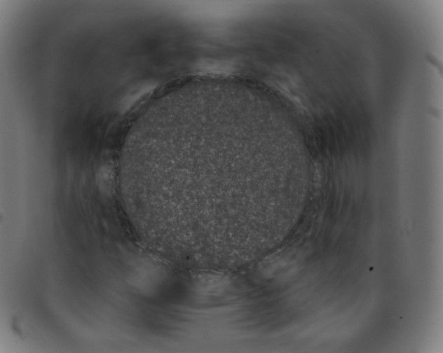 X0000095131254200801041238