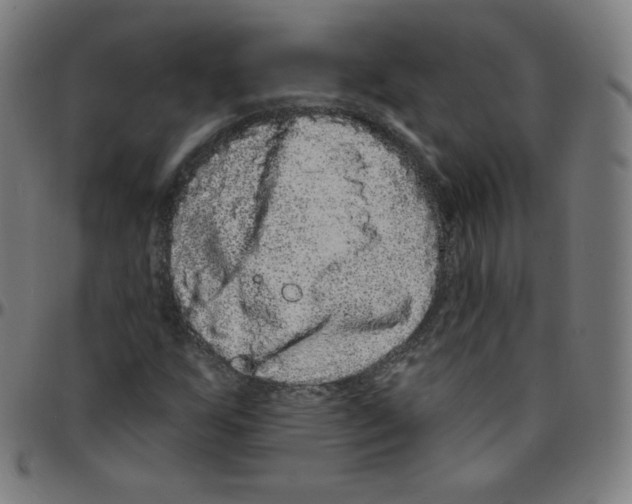 X0000095131255200801041238