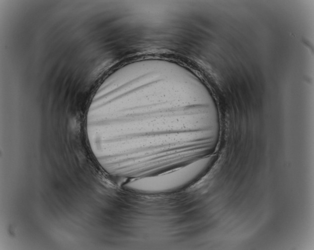 X0000095131257200801041238