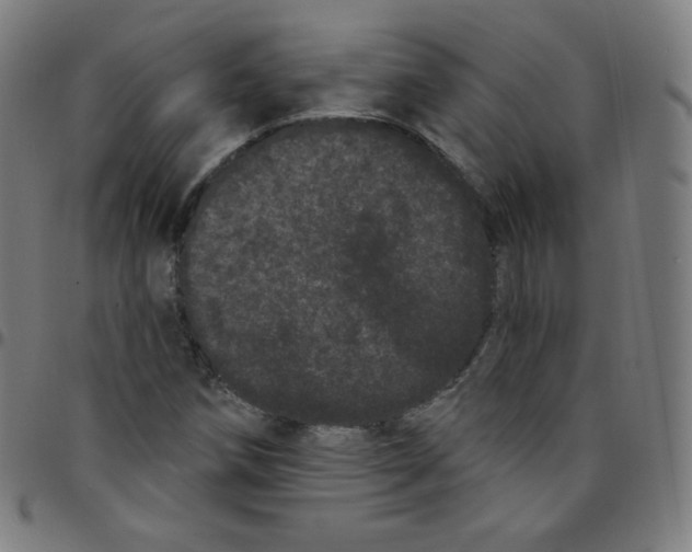 X0000095131258200801041238