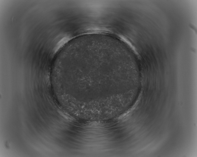 X0000095131259200801041238