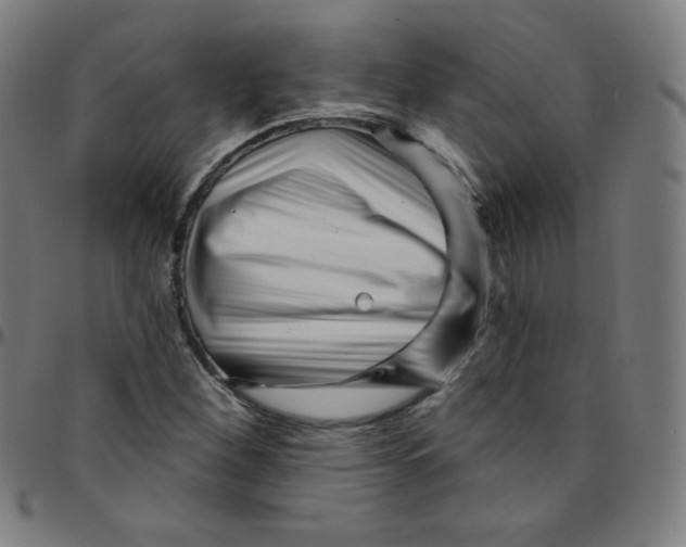 X0000095131260200801041238