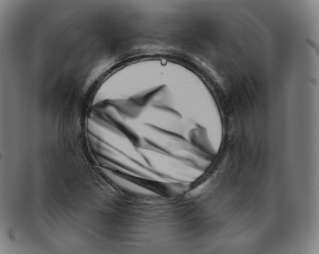 X0000095131261200801041238