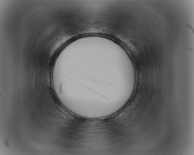 X0000095131262200801041238