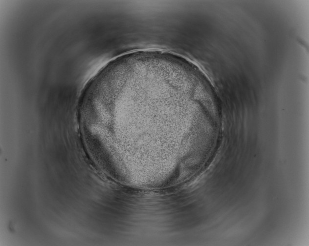 X0000095131263200801041238