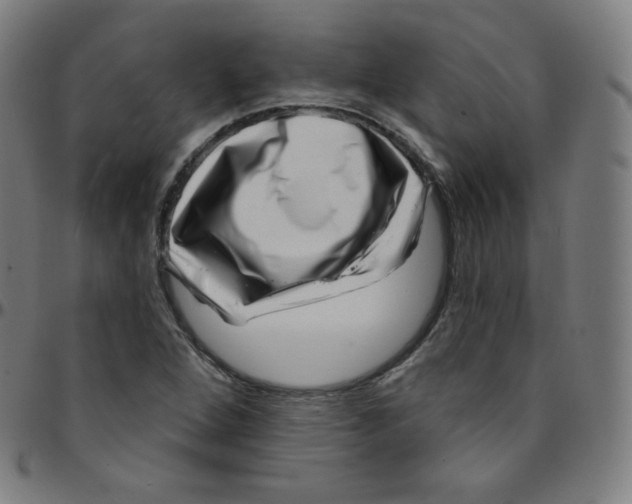 X0000095131264200801041238