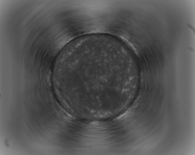 X0000095131265200801041238