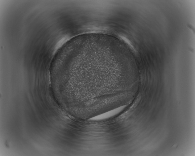 X0000095131267200801041238