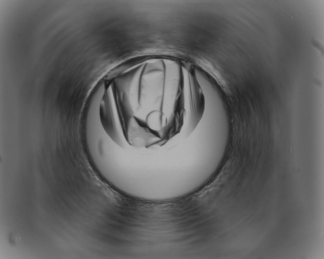 X0000095131268200801041238