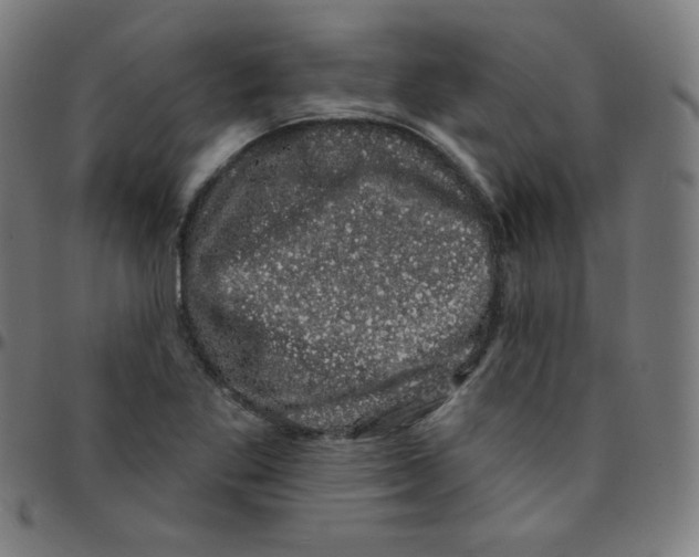 X0000095131269200801041238