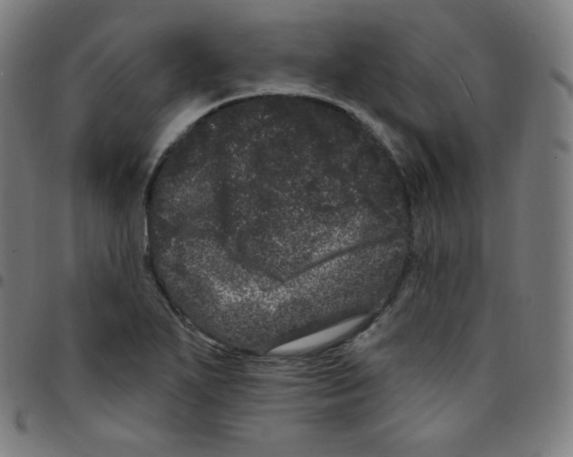 X0000095131271200801041238