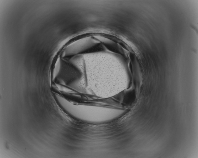 X0000095131272200801041238