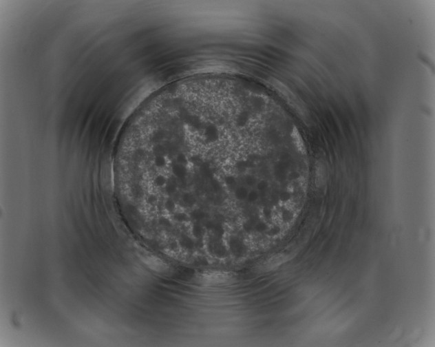 X0000095131274200801041238