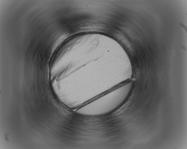 X0000095131275200801041238