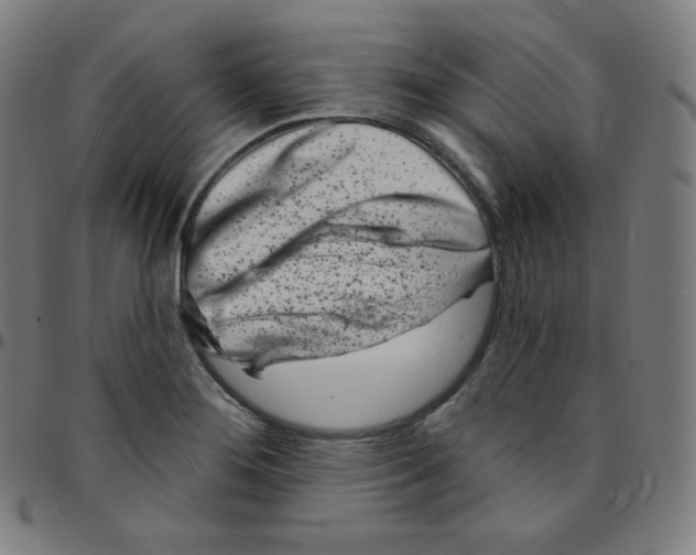 X0000095131276200801041238