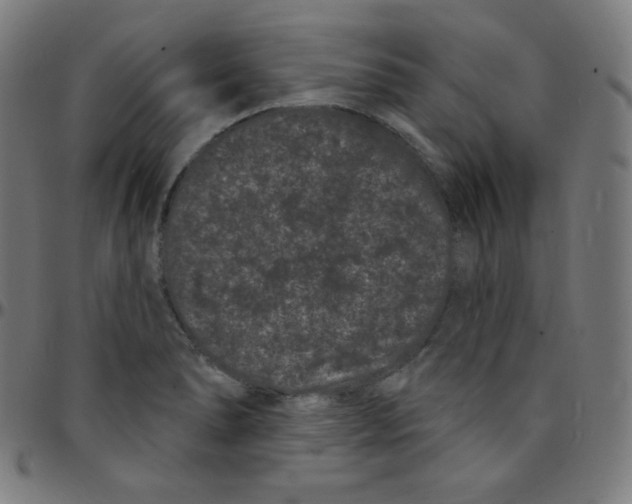 X0000095131278200801041238