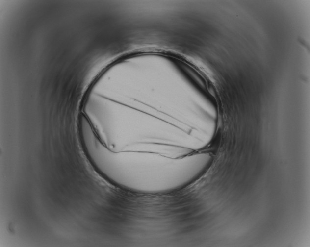 X0000095131279200801041238