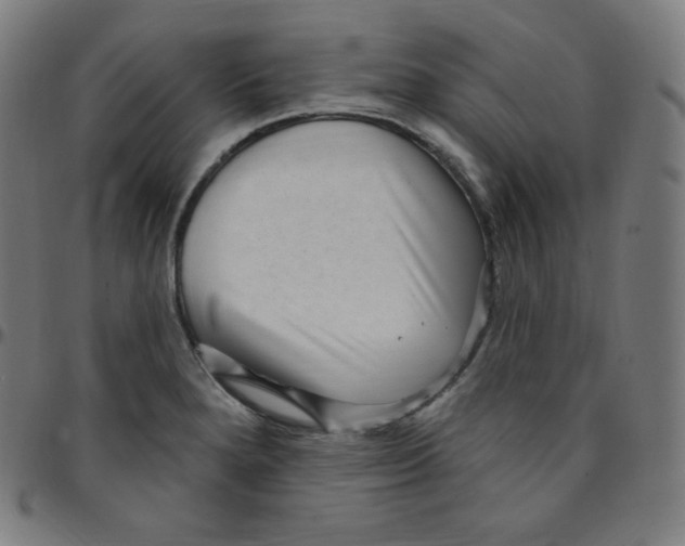 X0000095131280200801041238