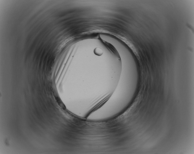 X0000095131281200801041238