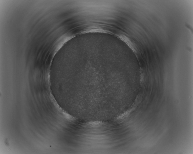 X0000095131282200801041238