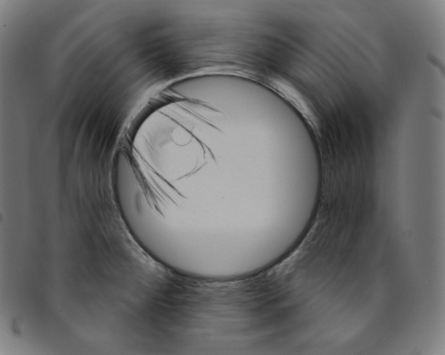 X0000095131284200801041238