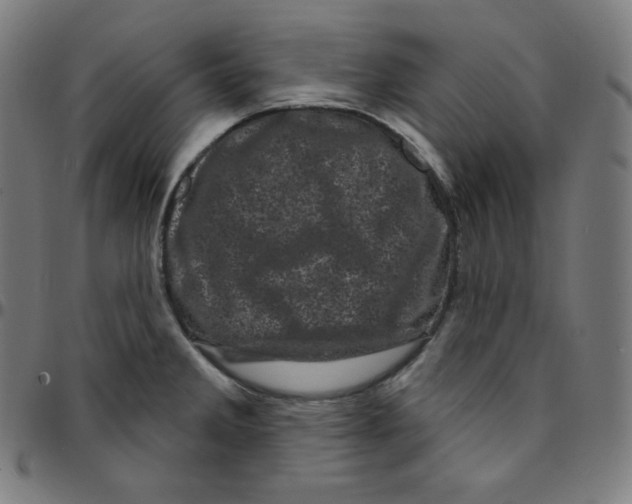 X0000095131285200801041238