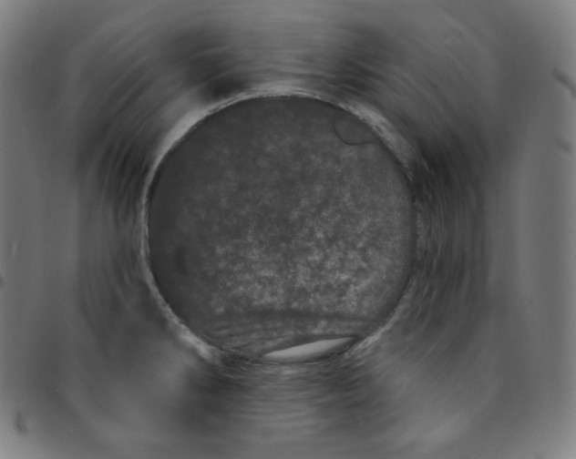 X0000095131286200801041238