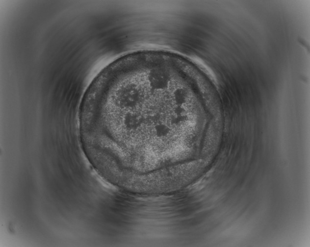 X0000095131287200801041238