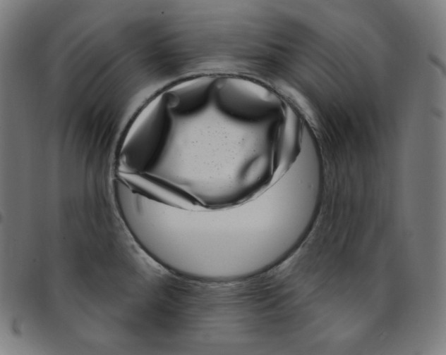 X0000095131288200801041238