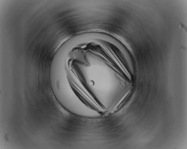 X0000095131289200801041238